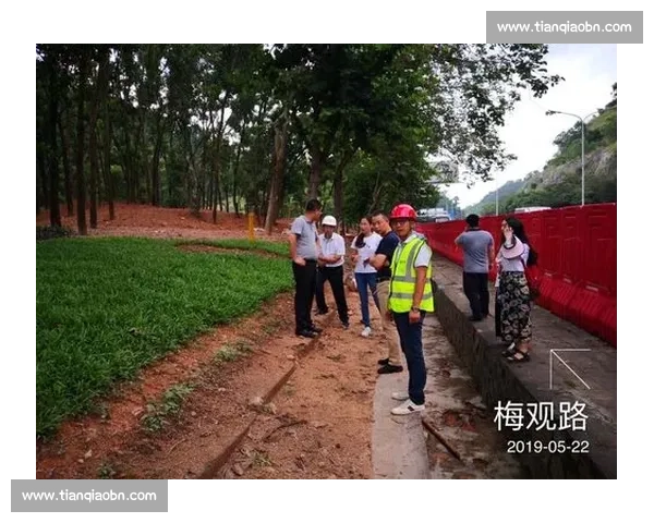 全方位提升工作效率与项目进度的速度优化策略与实践经验总结